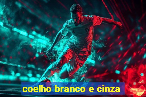 coelho branco e cinza