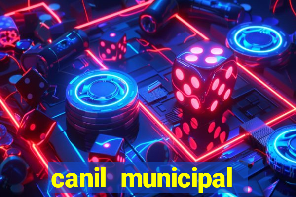 canil municipal porto alegre