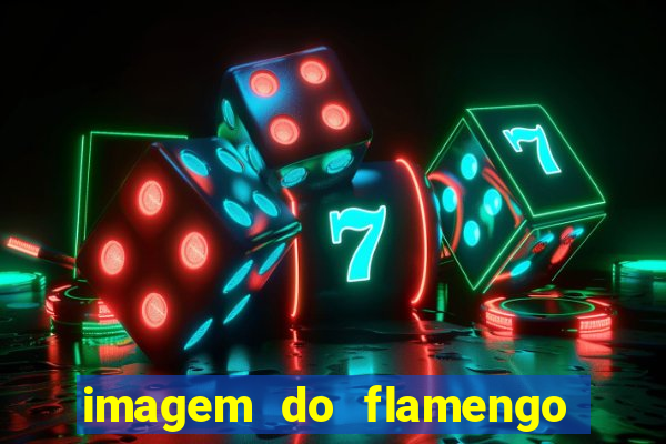 imagem do flamengo para perfil