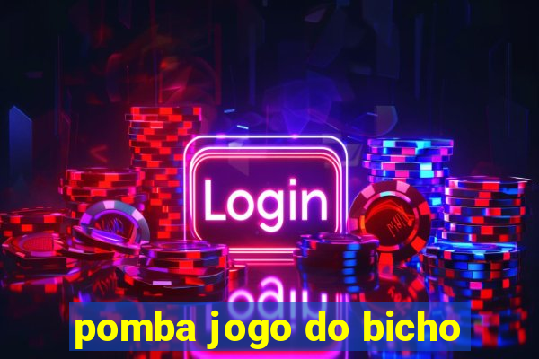 pomba jogo do bicho