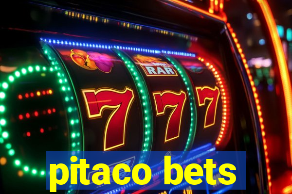 pitaco bets