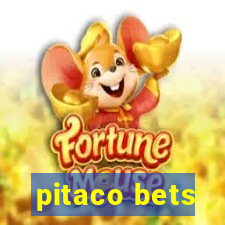 pitaco bets