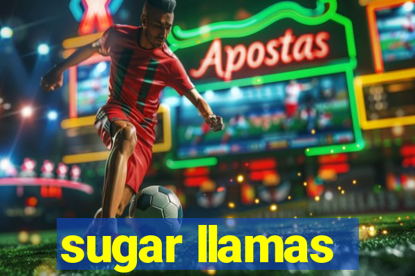 sugar llamas