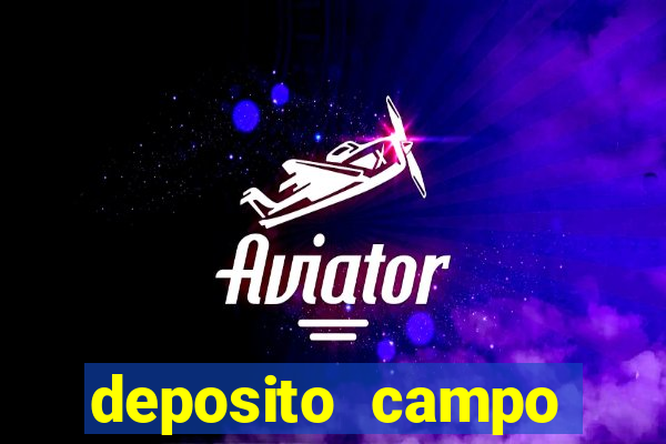 deposito campo grande santos