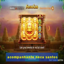 acompanhante neca santos