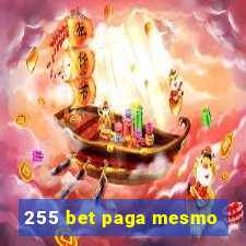 255 bet paga mesmo