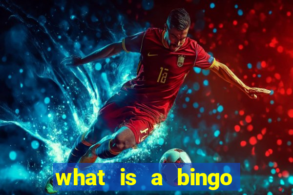 what is a bingo caller called