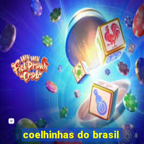 coelhinhas do brasil