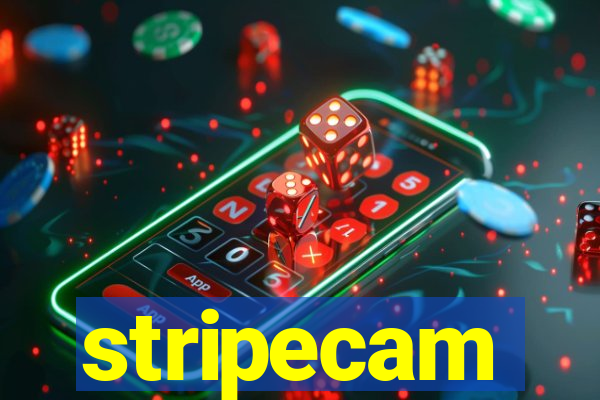 stripecam