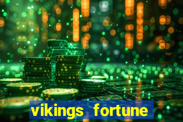 vikings fortune hold and win slot