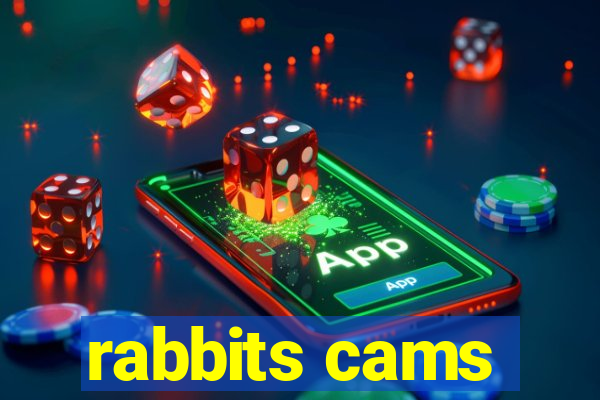 rabbits cams