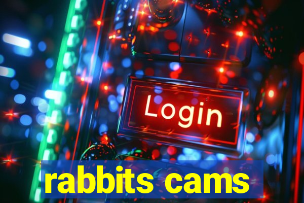 rabbits cams