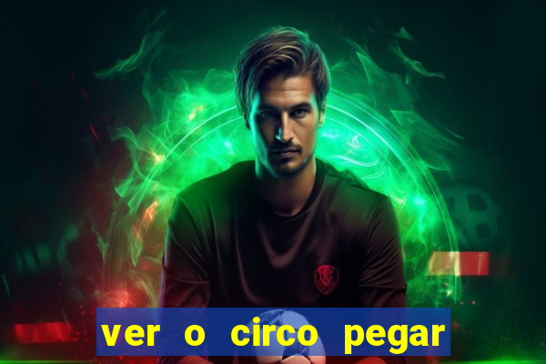 ver o circo pegar fogo significado