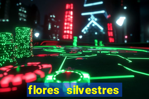 flores silvestres desbravadores desbravadores 25 flores silvestres e seus nomes