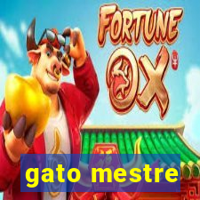 gato mestre