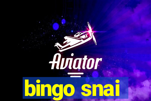 bingo snai