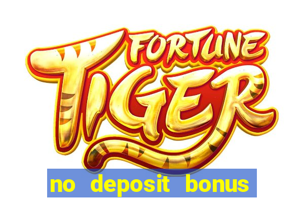 no deposit bonus bingo casino