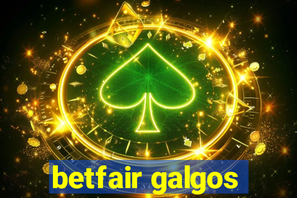 betfair galgos