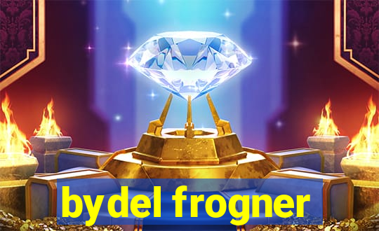 bydel frogner