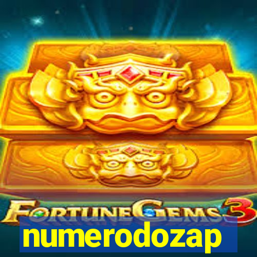 numerodozap