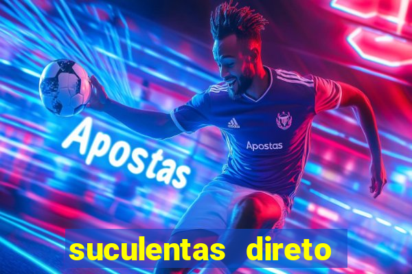 suculentas direto do produtor rs