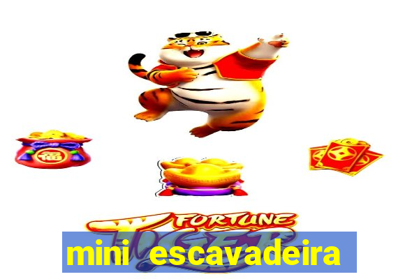 mini escavadeira aluguel rj